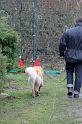 IMG_4356