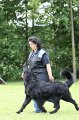 IMG_1139