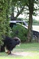 IMG_1455