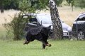 IMG_1677