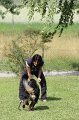 IMG_2078