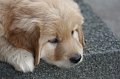 IMG_9051